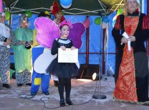 150213-carnavales-los-corrales-157-individual-infantil-primer-premio