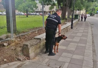 La Policía Local abre diligencias por lesiones producidas por un perro potencialmente peligroso