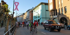 Lazo rosa de la Avenida Cantabria de Los Corrales