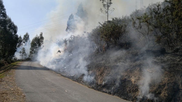Incendio forestal en Lobao