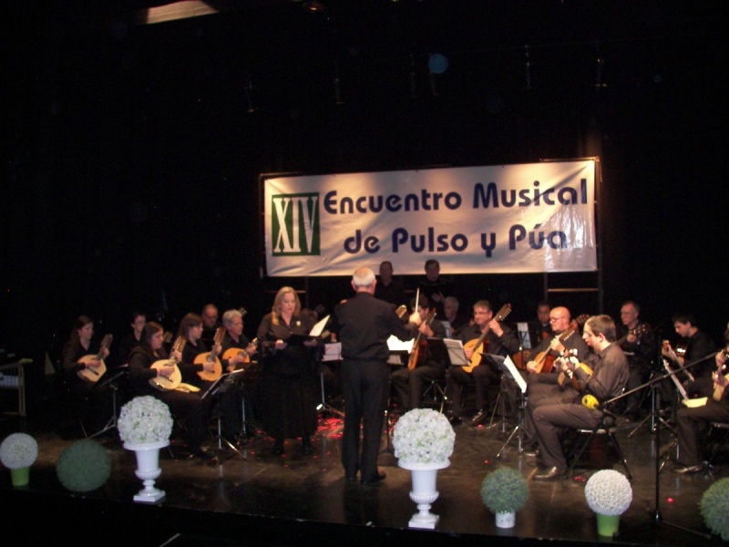 XIV Encuentros Musicales de Pulso y Púa. Orquesta Fresneda.