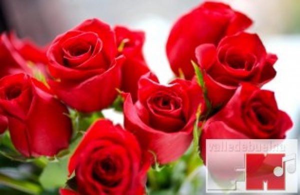 Concurso de Piropos San Valentín 2022, con Floristería Rosal