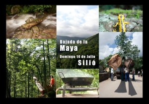 Cartel de la bajada de la Maya
