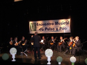 XIV Encuentros Musicales de Pulso y Púa. Orquesta La-Sol-Mi.