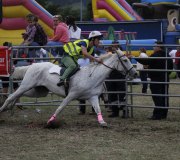 170910-carrera-caballos-molledo-044