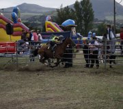 170910-carrera-caballos-molledo-053