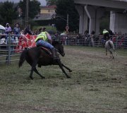 170910-carrera-caballos-molledo-078