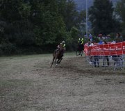 170910-carrera-caballos-molledo-088