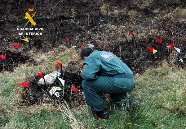 Investigación de incendios forestales.