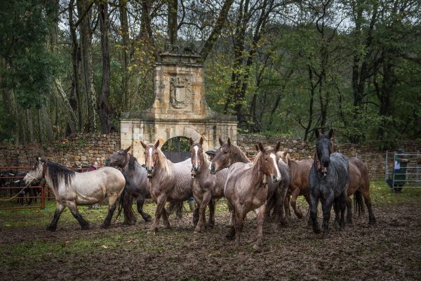 Fotografía ganadora.