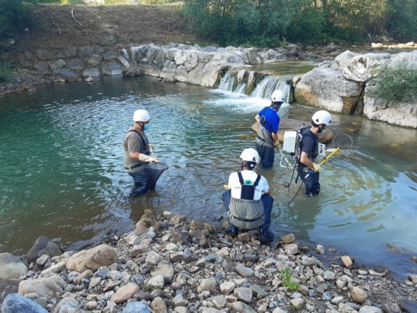 Actuación en el río Los Llares