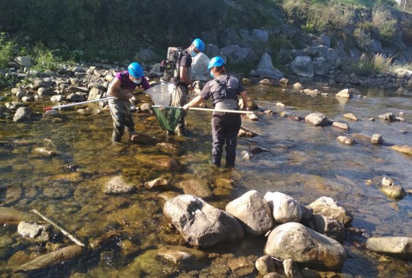 Pesca eléctrica en Los Llares