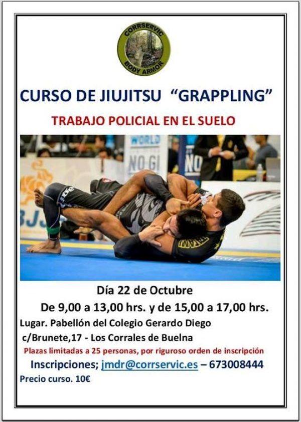 Cartel oficial del curso