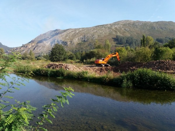 Actuaciones en Llano