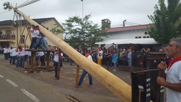 La rotura de uno de los cordeles puso emoción en el tramo final del izado de dos troncos de casi 30 metros de longitud
