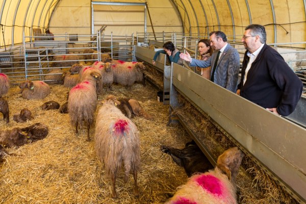 El consejero de Desarrollo Rural visita la Finca situada en la localidad de Coo