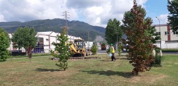Ya se prepara la instalación de la locomotora