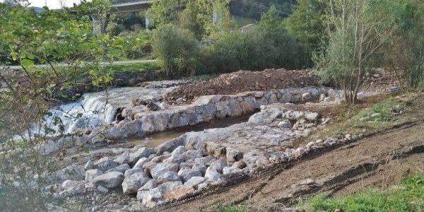 La Confederación facilitará escalas en las presas de ese río aprovechando las tareas de limpieza y reposición de escolleras y presas