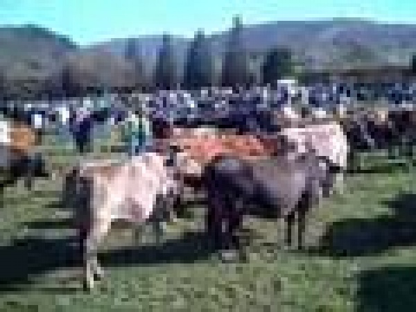 Feria de Arenas de Iguña