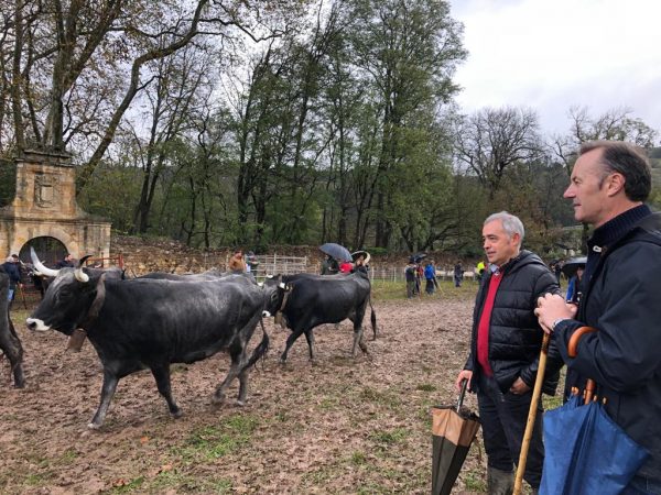 El consejero ha asistido a la XXXIX Feria Exposición de Ganado de Arenas de Iguña, en la que han participado más de 2.000 reses