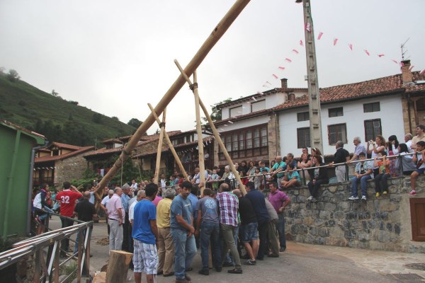 Izado de la Maya de Pujayo en 2018